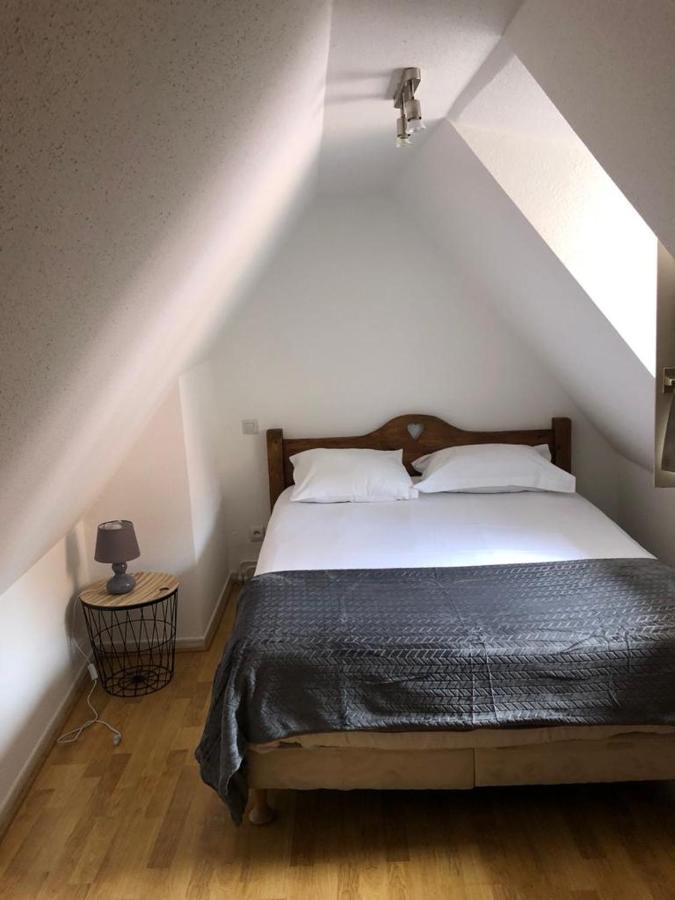 Les Appartements Du Koifhus Κολμάρ Εξωτερικό φωτογραφία