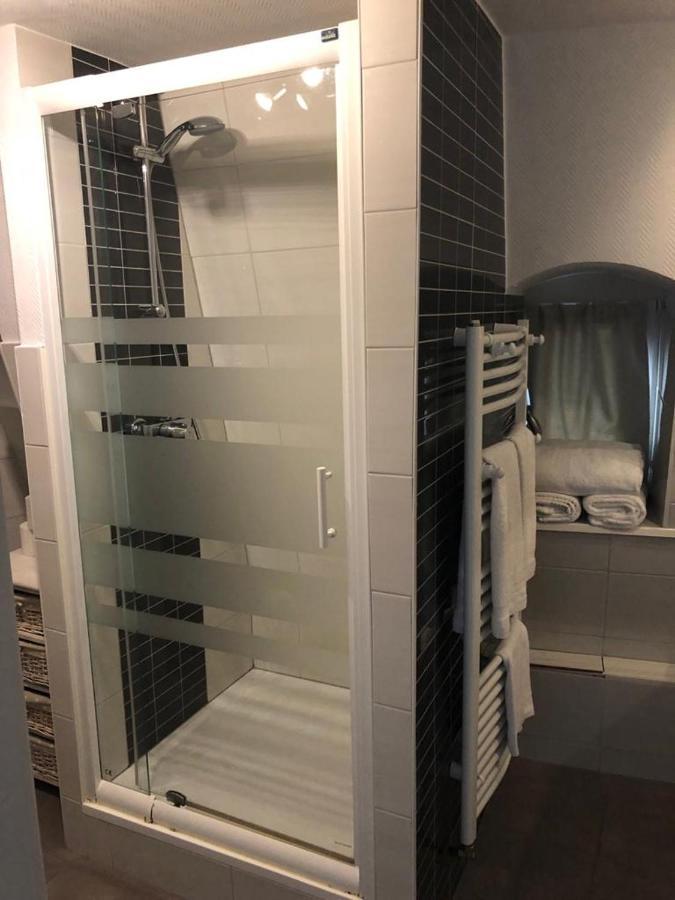 Les Appartements Du Koifhus Κολμάρ Εξωτερικό φωτογραφία